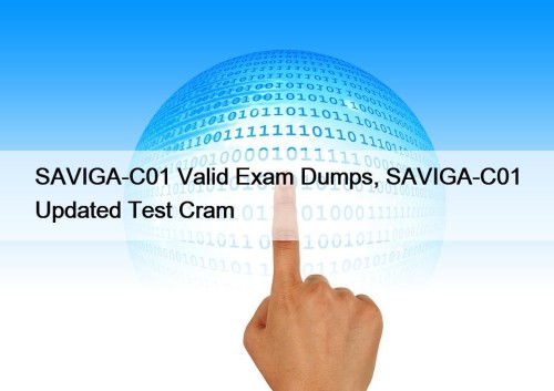 SAVIGA-C01 Valid Exam Dumps, SAVIGA-C01 Updated Test Cram